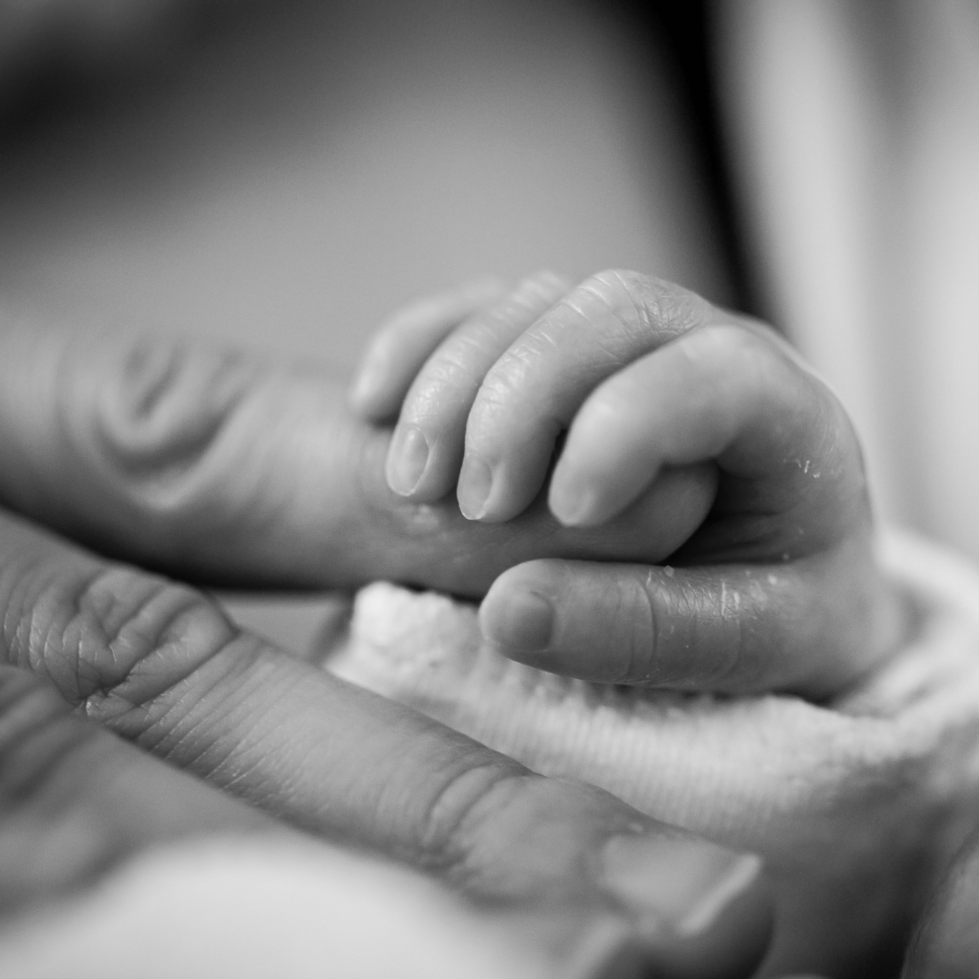 Newborns Hand Holding Parents Finger